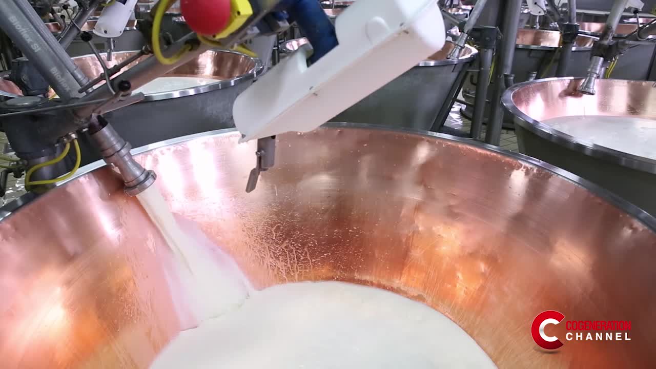 Latteria Soresina: an energy efficiency model in the dairy sector